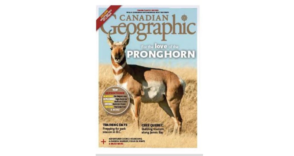 cover photo of pronghorn, Canadian Geographic Magazine