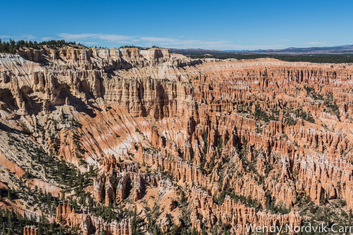 Bryce-Point-Top-things-to-do-in-Bryce-Canyon-National-Park-364A14031403-20