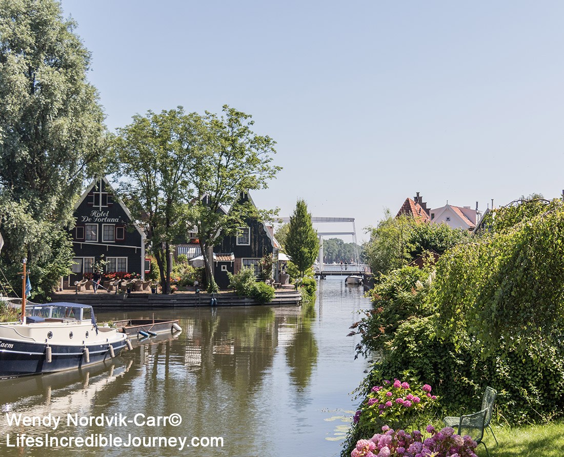 Flowers-and-canals-of-Edam-in-Dutch-countryside-3174