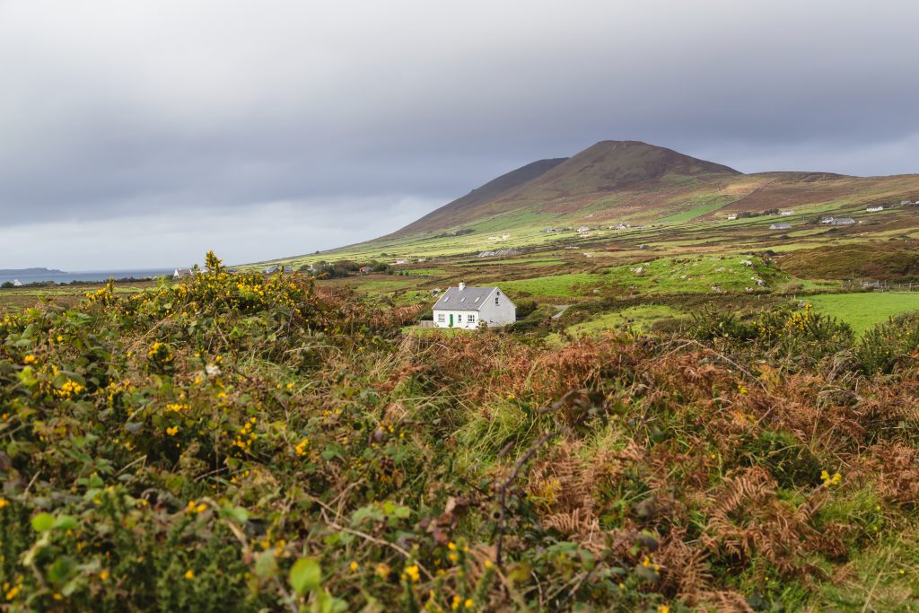 tmac-awards-krause-visual-series-ireland-1