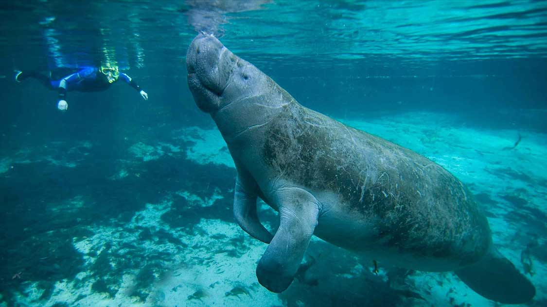 Best-Florida-State-Parks-for-Families-Feature