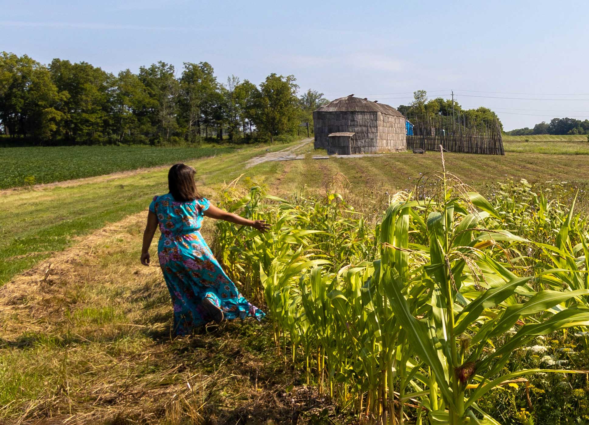 Corn-Growing-in-Front-of-OSTTC-Longhouse