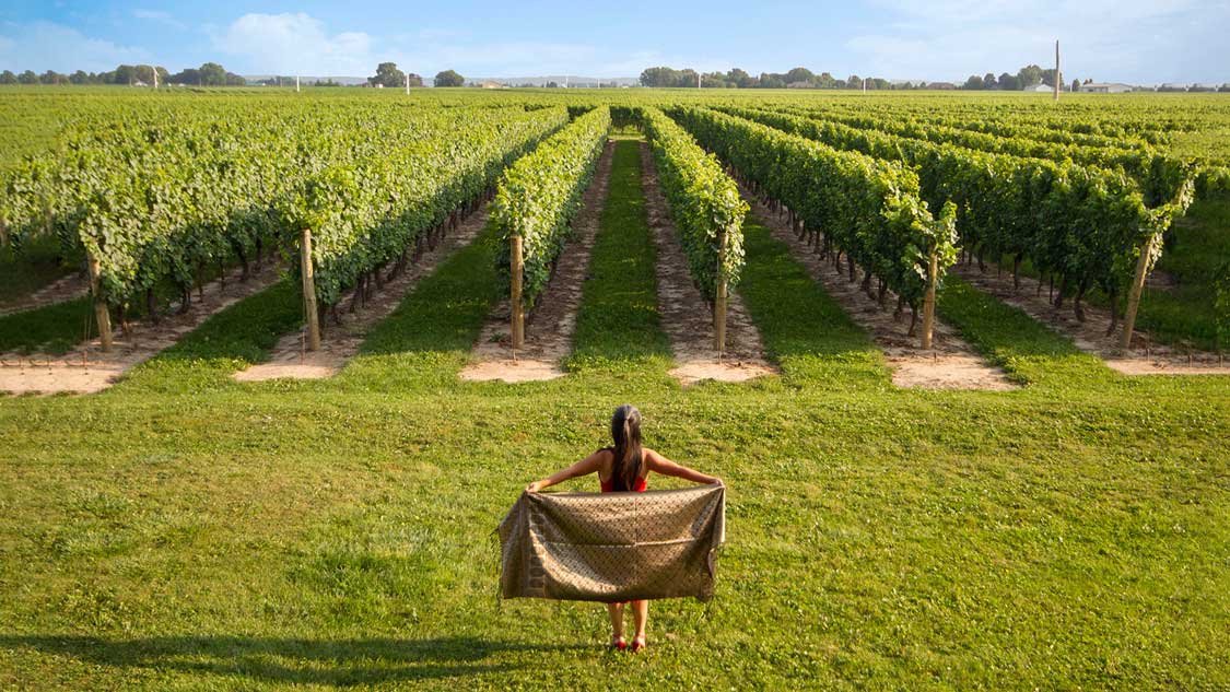 Wine-regions-of-Ontario-Feature