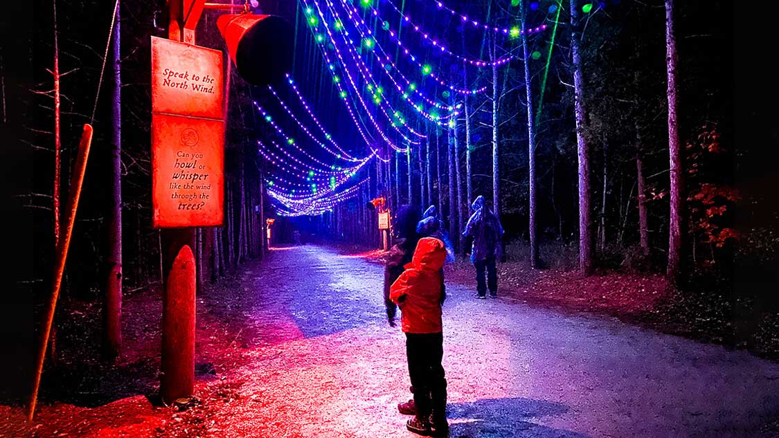 Agora-Path-of-Light-Feature