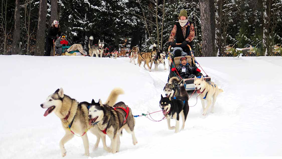 Dog-Sledding-in-Ontario-Feature