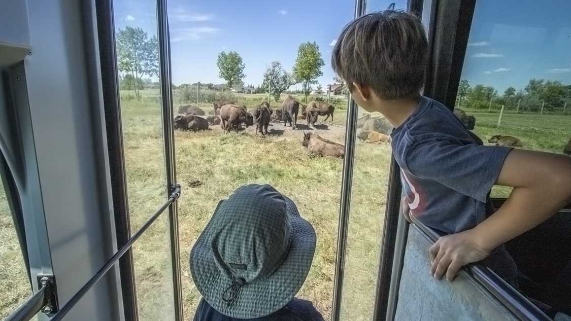 FortWhyte-Alive-Feature