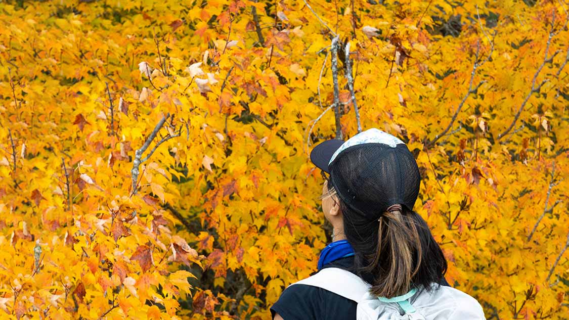 Grundy-Lake-Provincial-Park-Camping-Feature