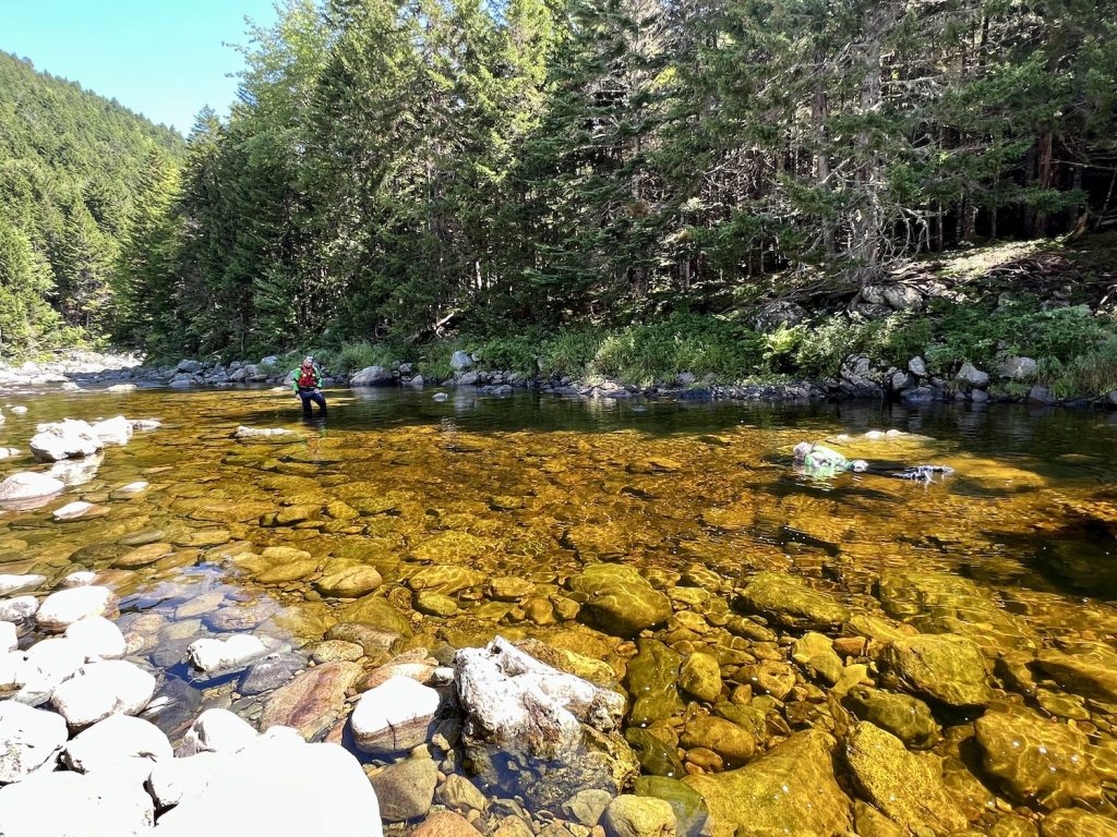 FNP-main-Jennifer Bain snorkels CREDIT Danielle Latendresse, Parks Canada