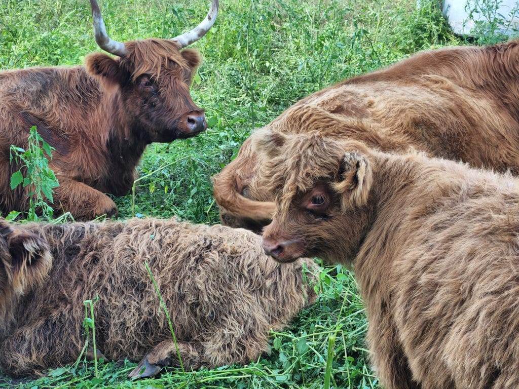 lanaudiere-2022-cinq-fourchettes-tourisme-39-1024x768