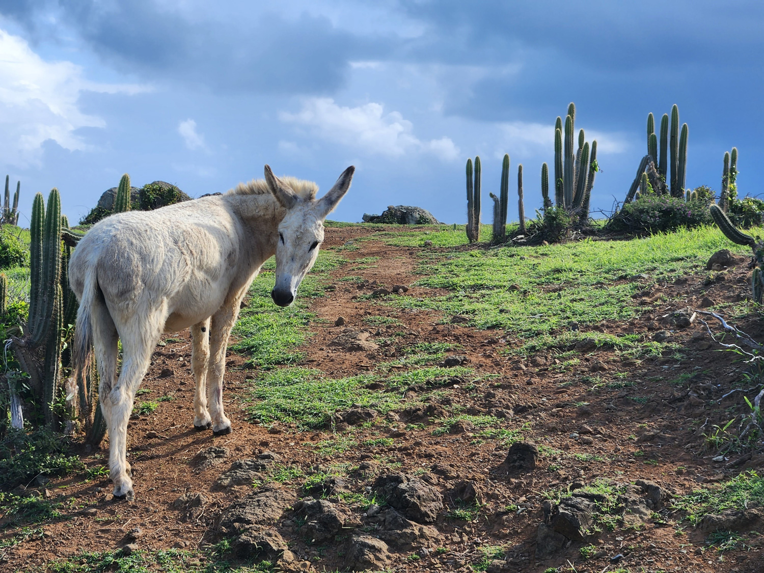 saint-martin-cinq-fourchettes-credit-photo-nancy-bordeleau-cinq-fourchettes-50
