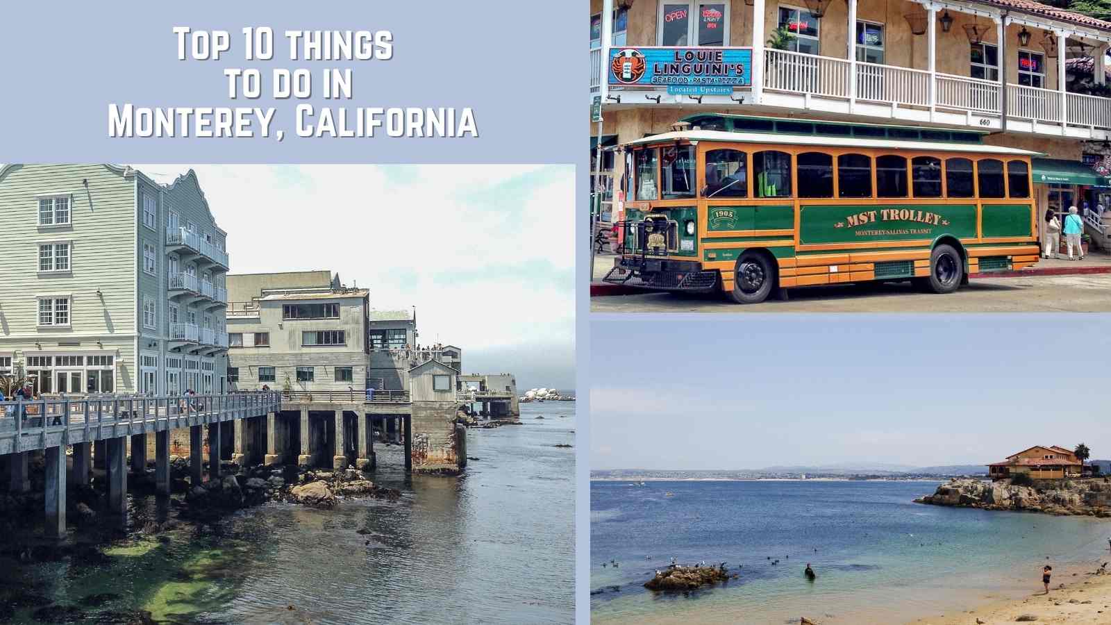 top_things_to_do_in_monterey_california_twitter