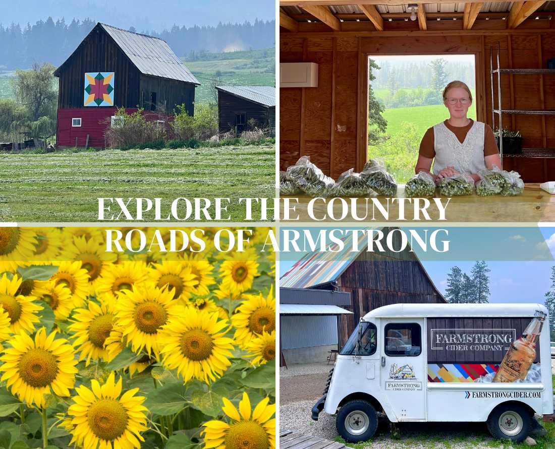 explore_the_country_roads_of_armstrong_bc_near_vernon_web