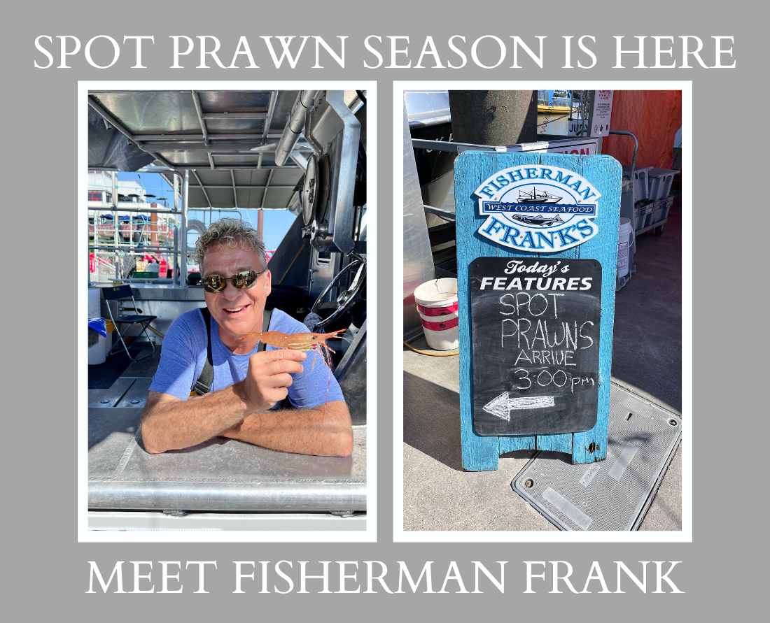 meet_steveston_spot_prawn_fisherman_frank_at_stevston_fishermans_wharf_in_richmond_