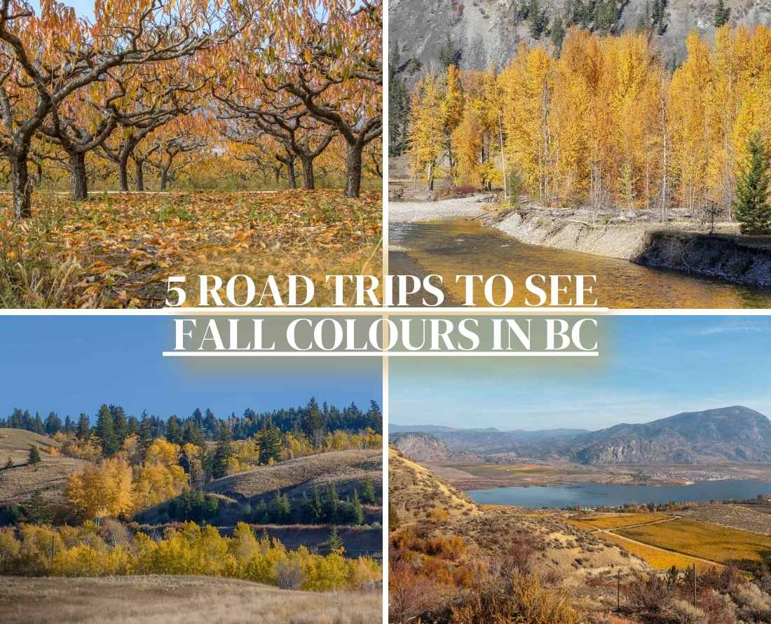 5_road_trips_to_see_fall_colours_in_bc_web