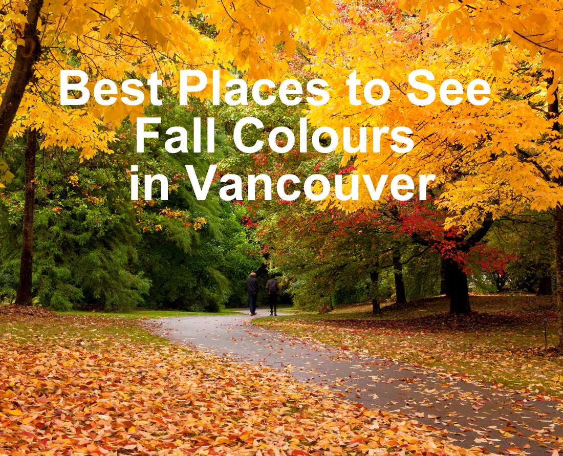 best_places_to_see_fall_colours_in_vancouver