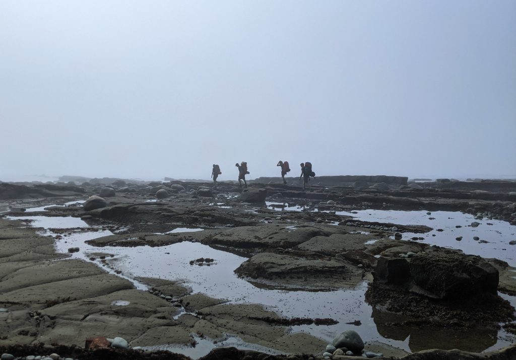 taylor-landscape-foggy-day-west-coast-trail