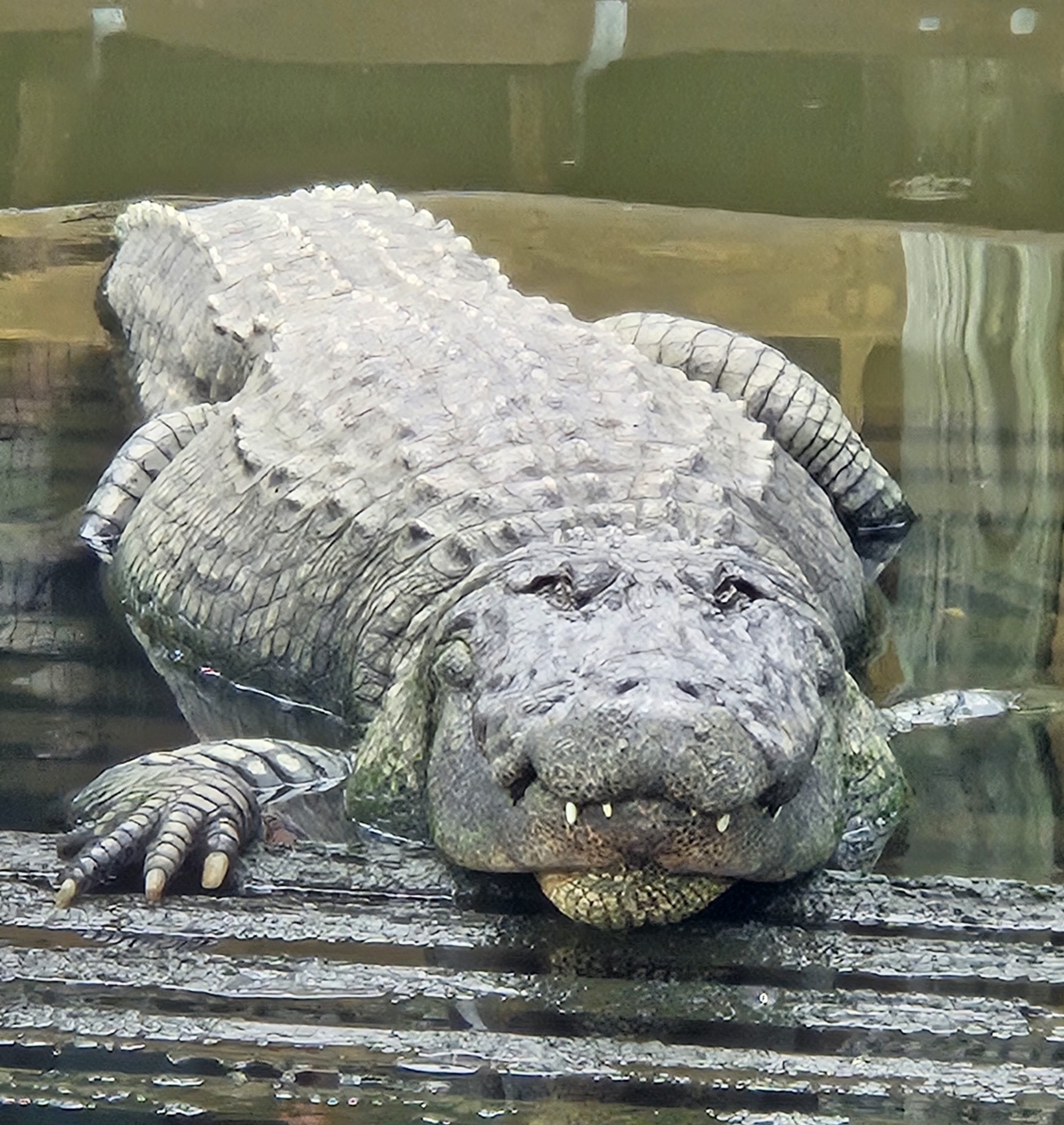 20240316_133239_small