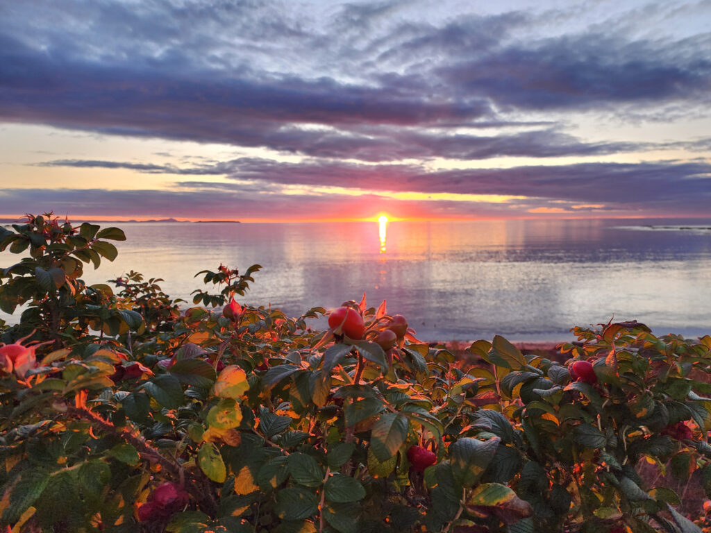 bic-vieux-loup-de-mer-bas-saint-laurent-cinq-fourchettes-voyage-travel-20-1024x768