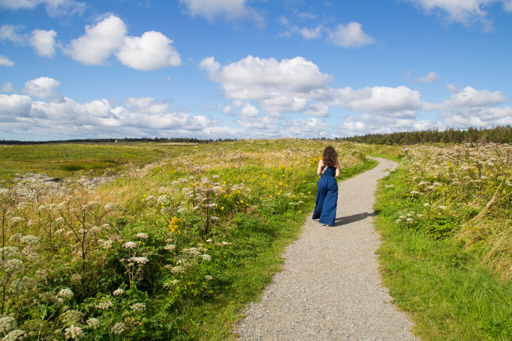 louisbourg-cape-breton-old-town-trail-36-1024x683