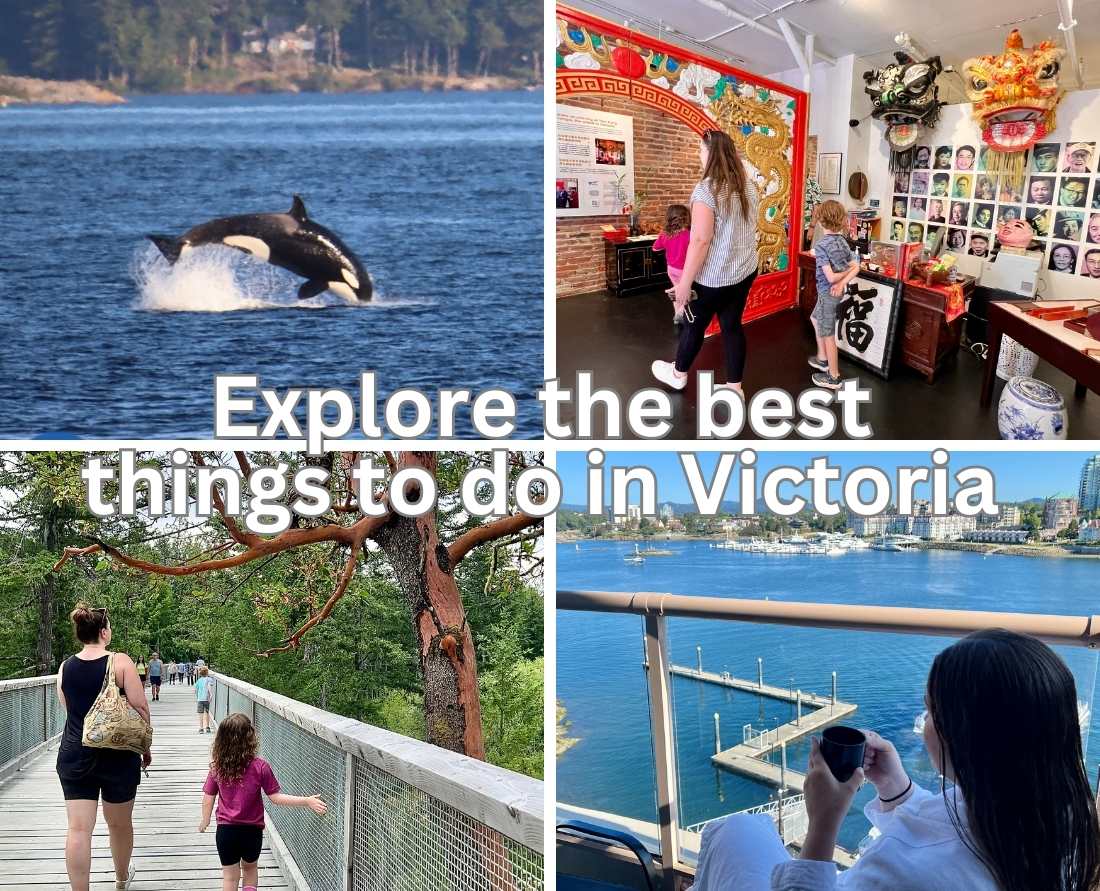 best_things_to_do_with_in_victoria_with_kids