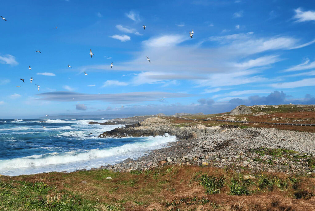 saint-pierre-miquelon-voyage-france-canada-travel-cinq-fourchettes-15-1024x688