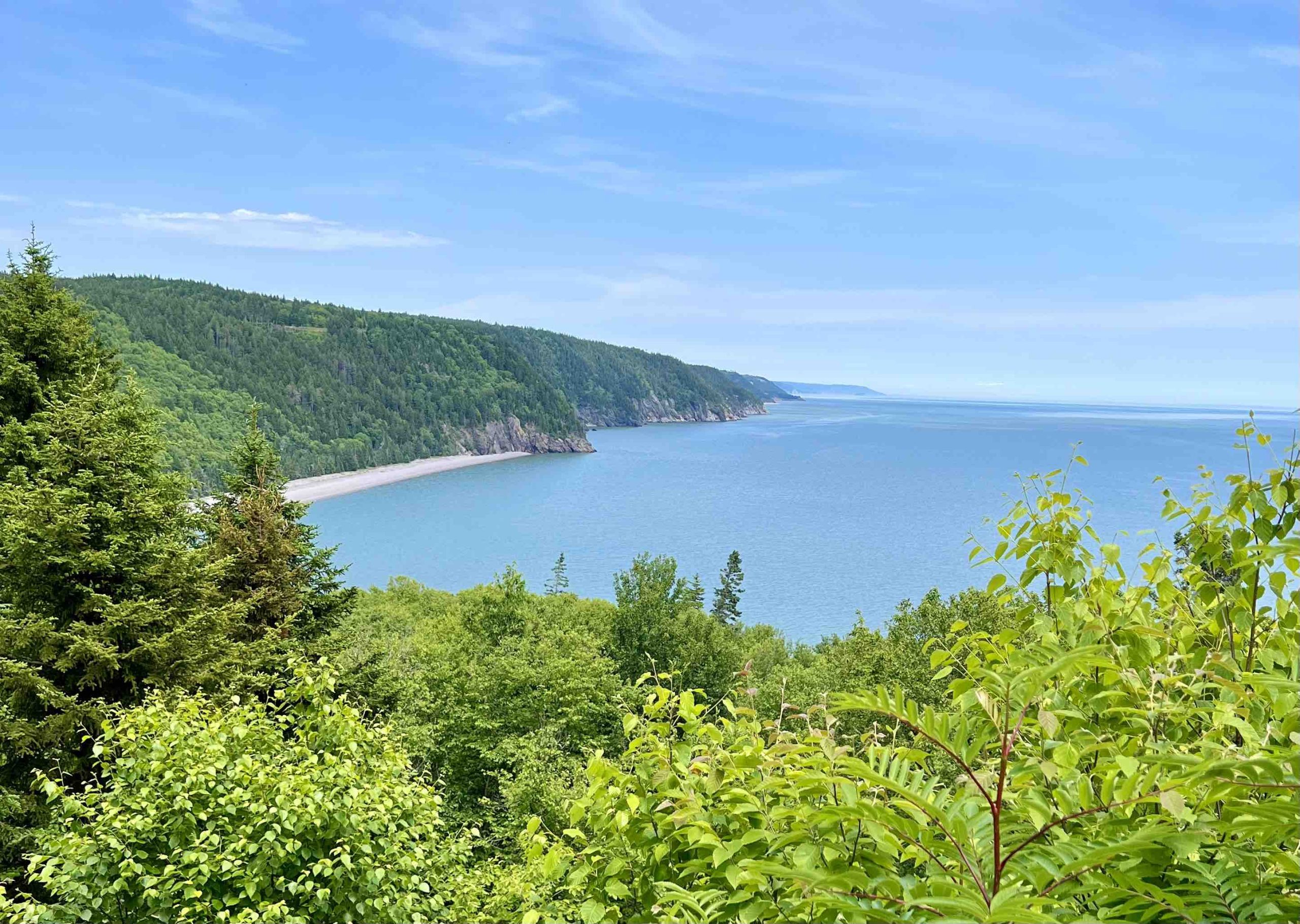 One of the most scenic drives in Canada is along the Bay of Fundy Parkway in New Brunswick